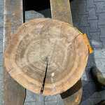 Rosewood Schijf, Dikte 80mm, Ø 400mm